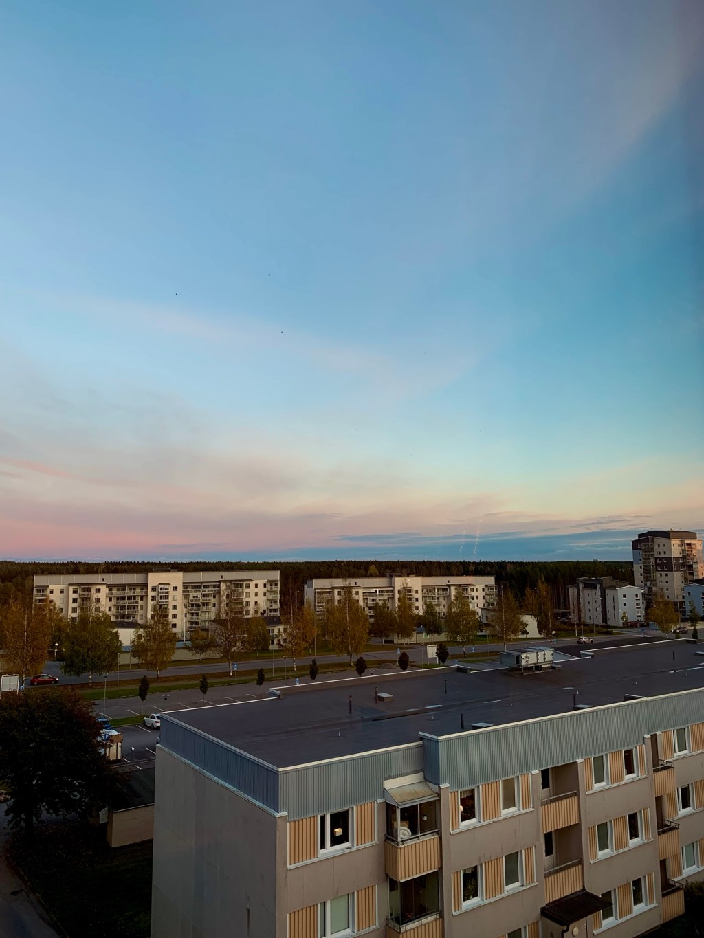 Ett år bort från Umeå – en stad som alltid finns kvar i&nbsp;hjärtat