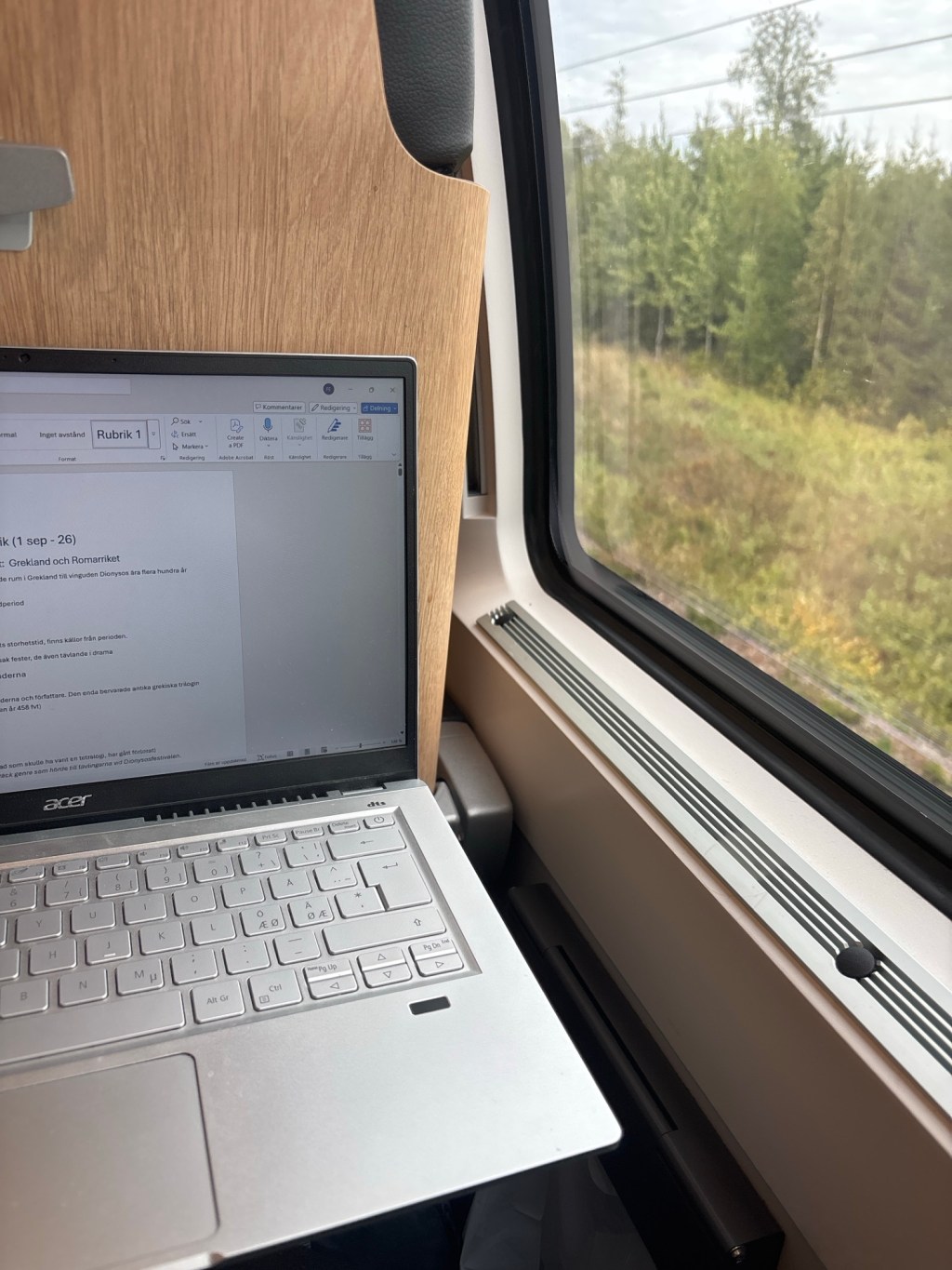 Fast på tåget